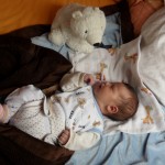 Pod dohledem medýdka