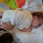 Nevydařený pokus o pasení