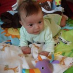 Koníček v džungli