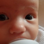 Nerušit, obědvám!