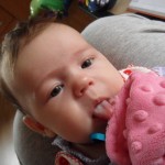 Žužlací hadřík od tety Paletky