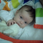 Se spinkací ovečkou