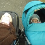 s Andulkou na procházce