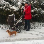 u "lesa" (za křovím je nafukovací hala) :-)