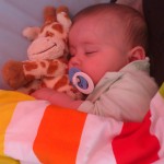 spinkací náhradnice (ovečka je v prádle)