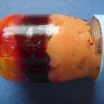 menu ve skle (dýně - řepa - mrkvobrambor)