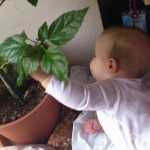 ... a my už víme, co to bylo :-)