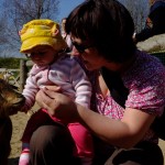 dětská zoo sklidila úspěch