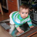 tygr na dvířkách od myčky