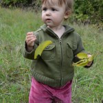 ořechobraní (nebo spíš listobraní)