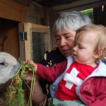 ... krmí králíčky