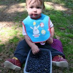 ááá borůvečkyyy