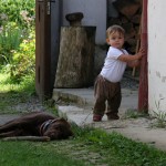 hnědé zátiší :-)