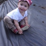 tady budem s mámou sázet jahody